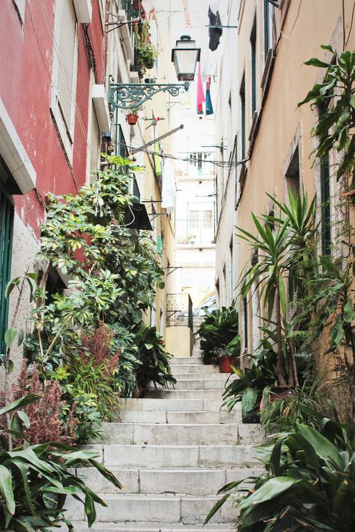 Lov'Alfama, At Home In リスボン 部屋 写真